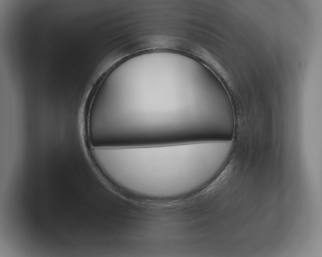 X0000102261034200807250833