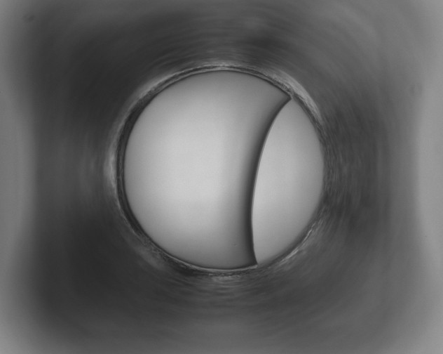 X0000102261035200807250833