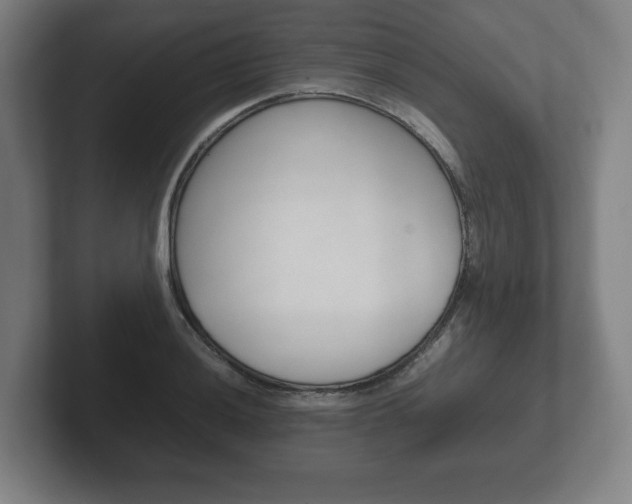 X0000102261036200807250833