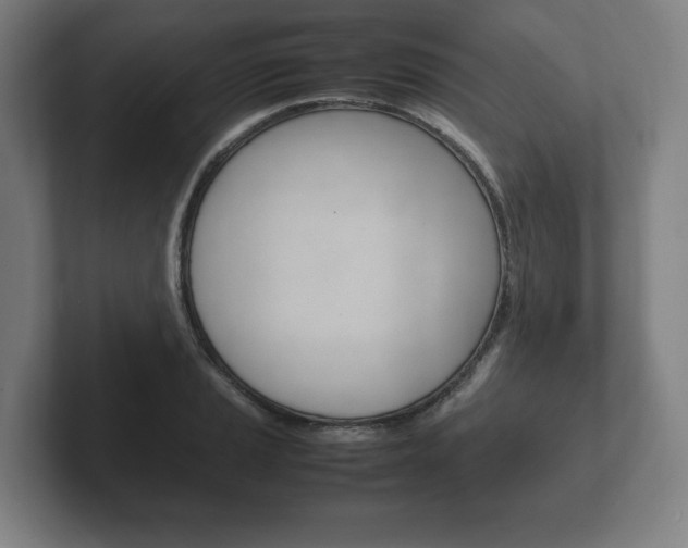 X0000102261037200807250833