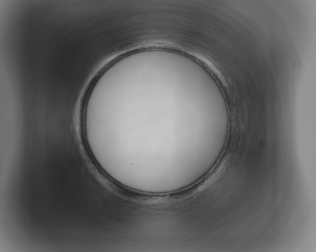 X0000102261038200807250834