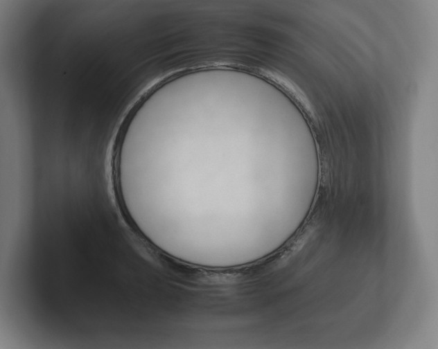 X0000102261039200807250834