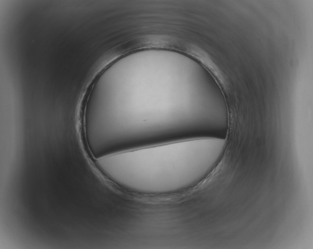 X0000102261042200807250834