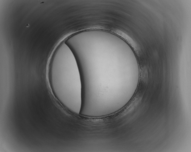 X0000102261043200807250834