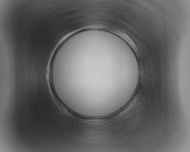 X0000102261044200807250834