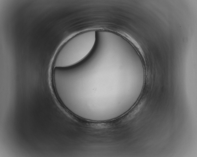 X0000102261045200807250834