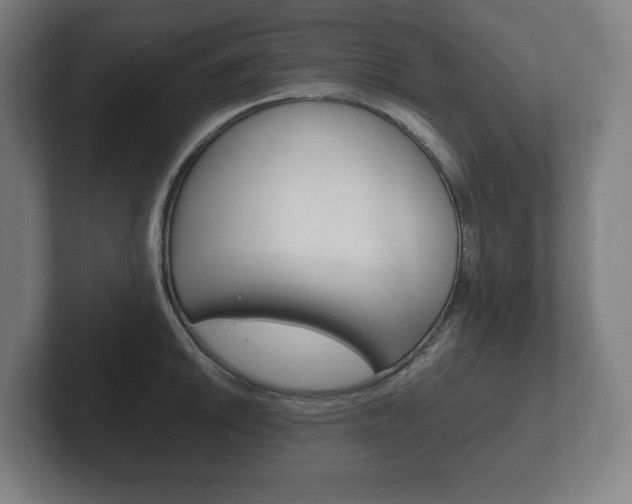 X0000102261046200807250834