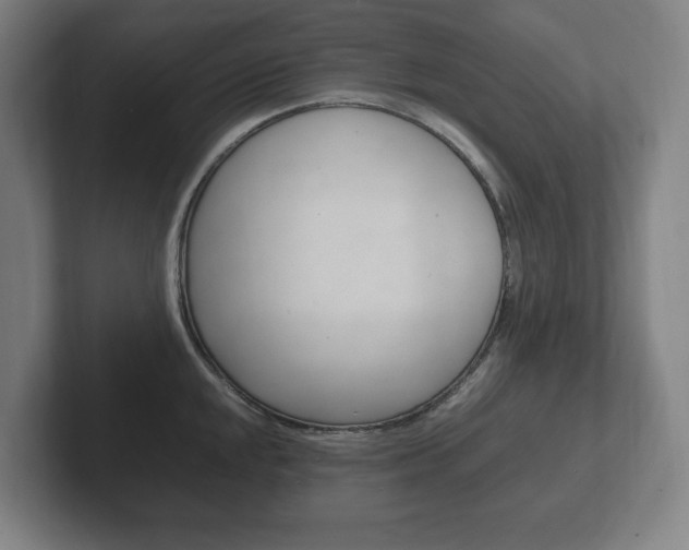 X0000102261048200807250834