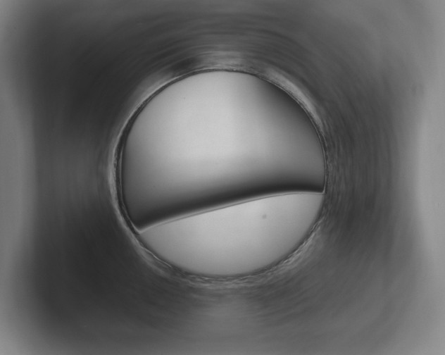 X0000102261050200807250834