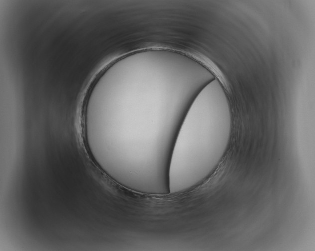 X0000102261051200807250834