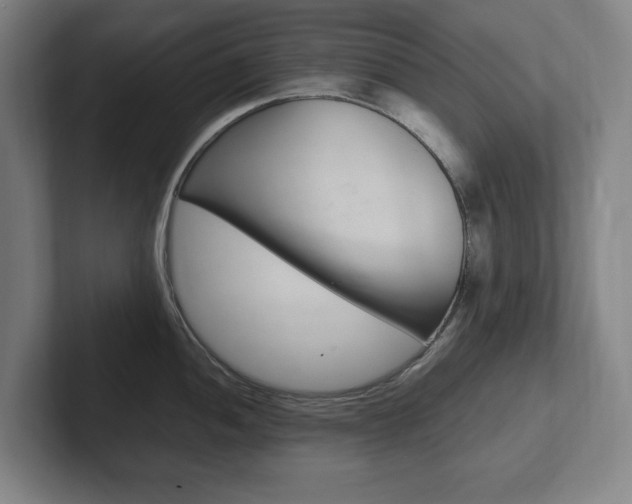 X0000102261052200807250834