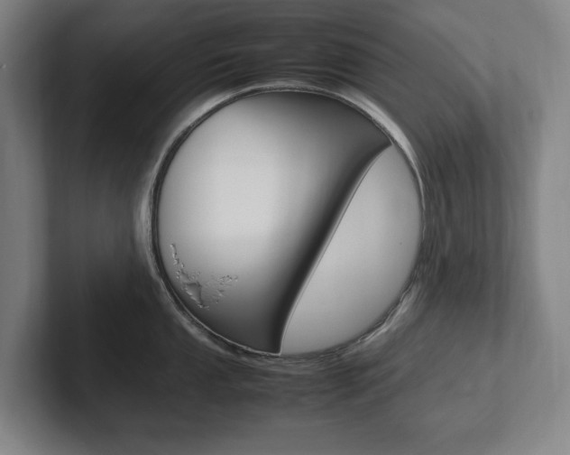 X0000102261053200807250834