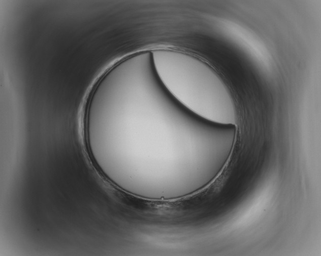 X0000102261054200807250834