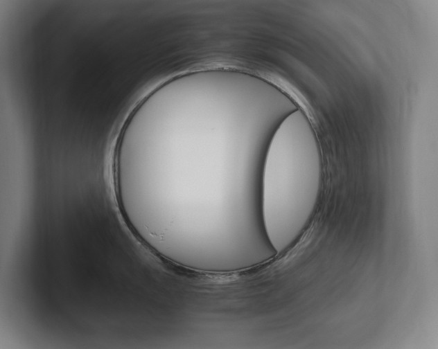 X0000102261055200807250834
