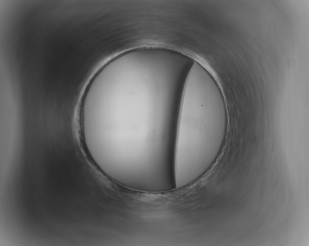 X0000102261056200807250834