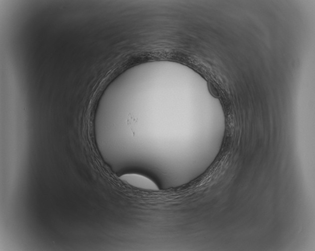 X0000102261057200807250833