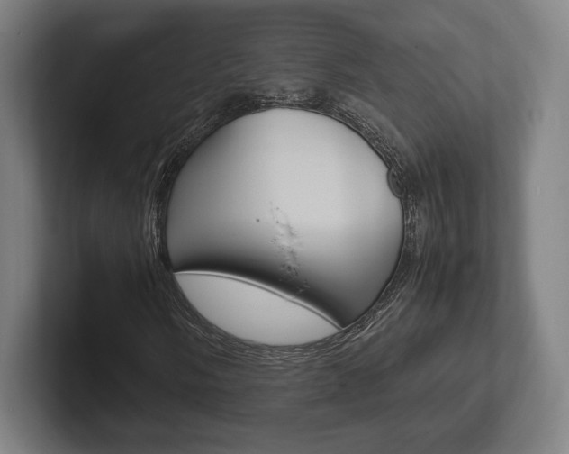 X0000102261058200807250833