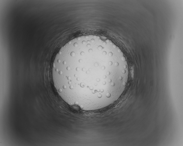 X0000102261059200807250833