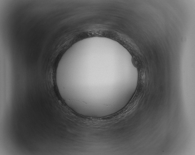 X0000102261060200807250833