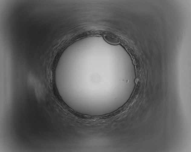 X0000102261061200807250833