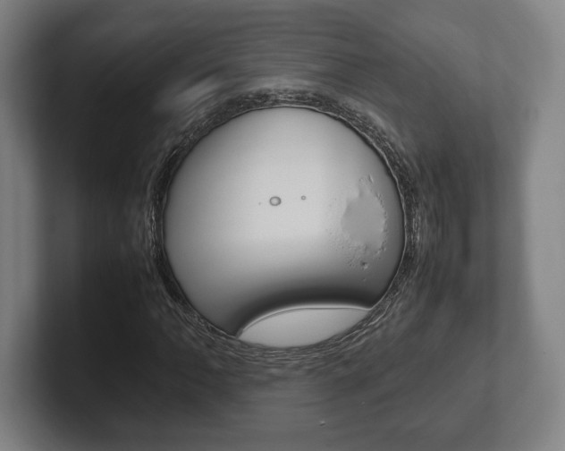 X0000102261062200807250833