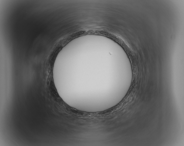 X0000102261063200807250833