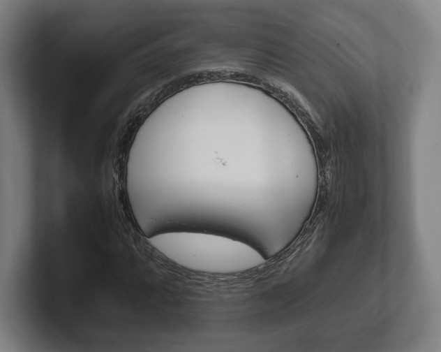 X0000102261064200807250833