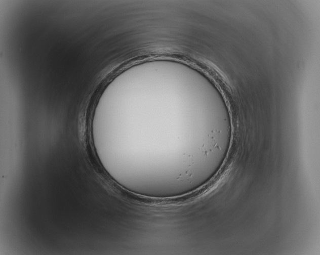 X0000102261065200807250833