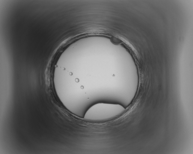 X0000102261067200807250833