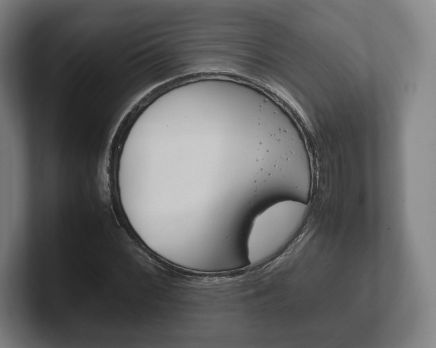 X0000102261068200807250833
