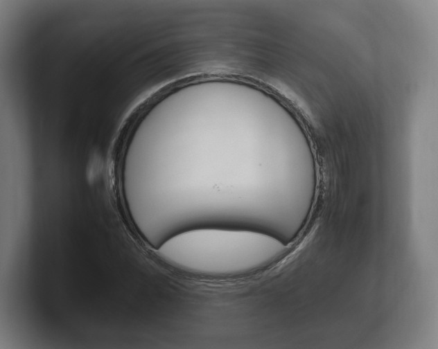 X0000102261070200807250833