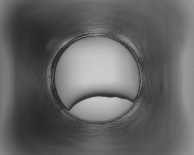 X0000102261071200807250833