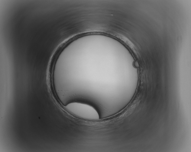 X0000102261072200807250833