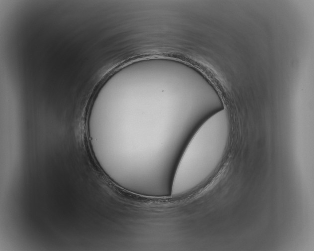 X0000102261073200807250833