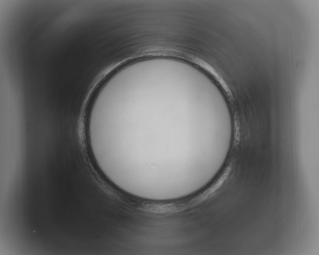 X0000102261074200807250833