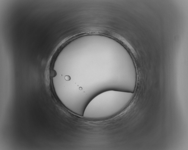 X0000102261075200807250833