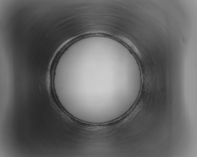 X0000102261076200807250833
