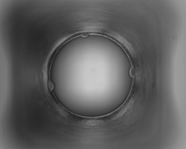 X0000102261077200807250833