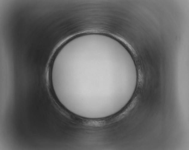 X0000102261078200807250833
