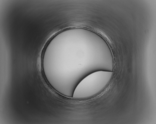 X0000102261079200807250833