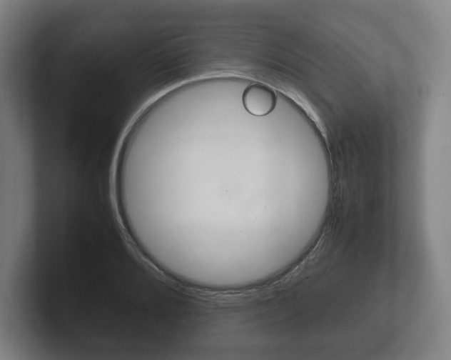 X0000102261080200807250833