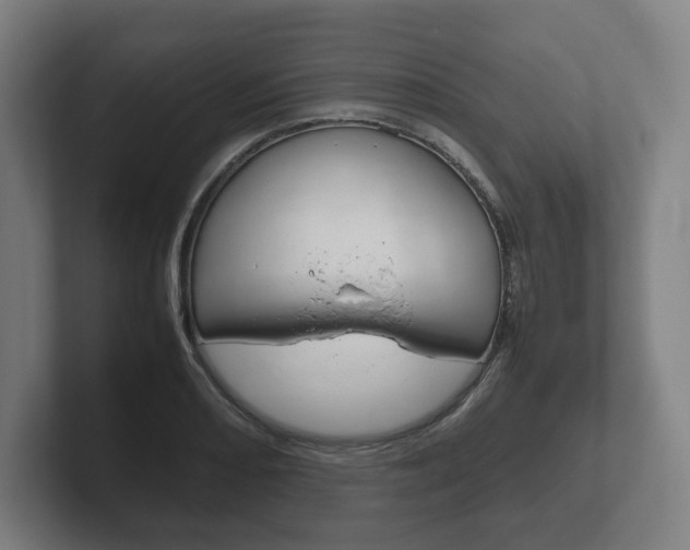 X0000102261082200807250833