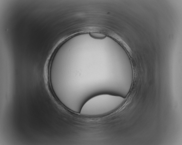 X0000102261083200807250833