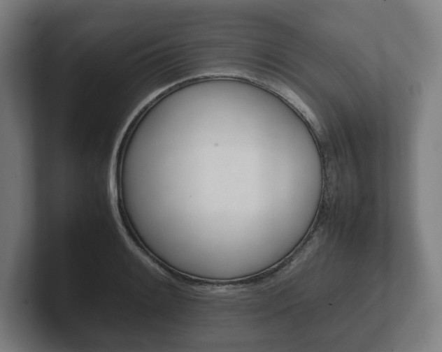 X0000102261084200807250833