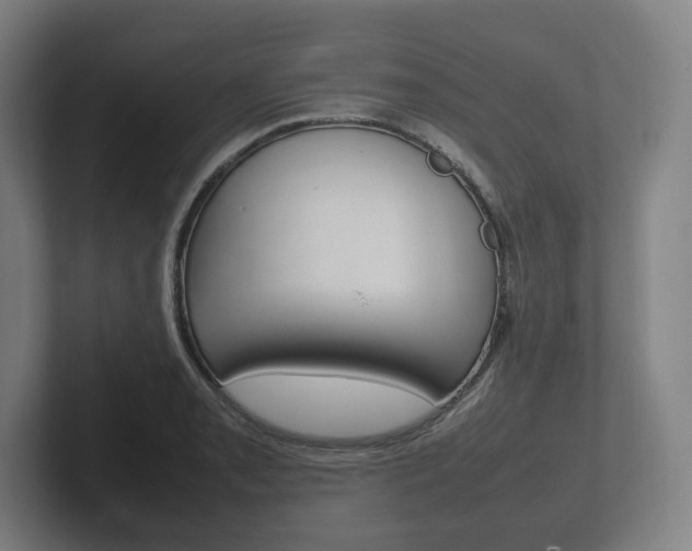 X0000102261085200807250833