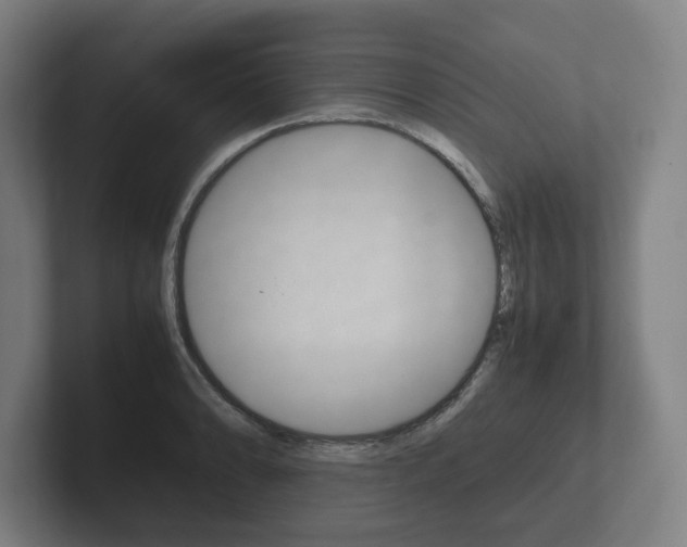 X0000102261086200807250833