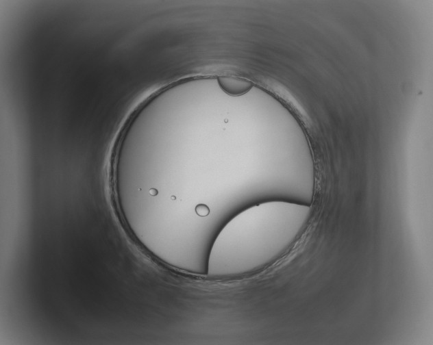 X0000102261087200807250833