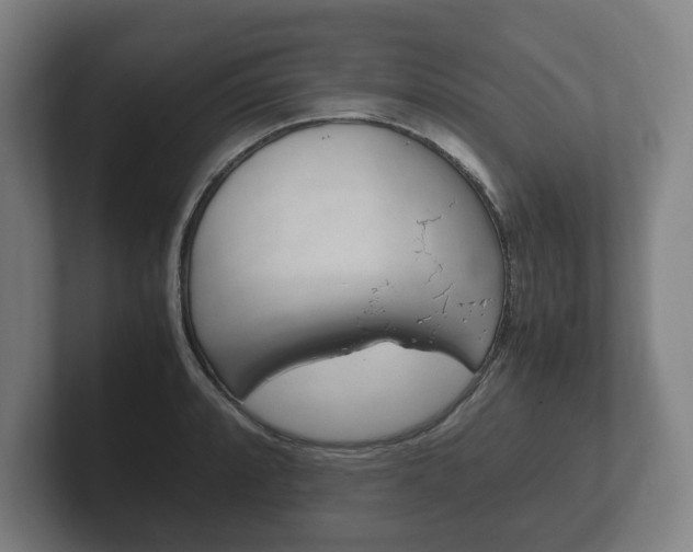 X0000102261088200807250833