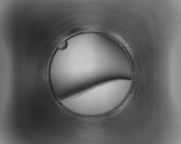 X0000102261089200807250833