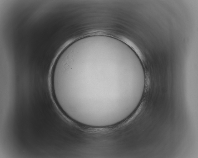 X0000102261090200807250833